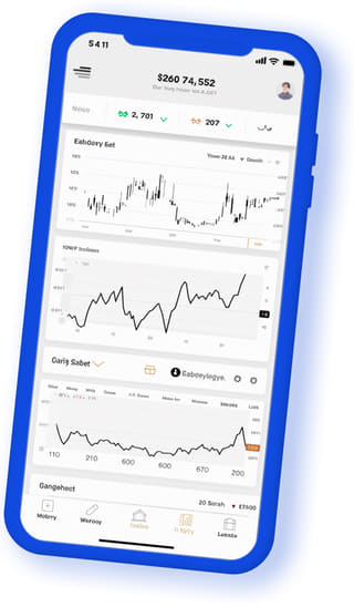 Regalmint Treasury digital web application on mobile device